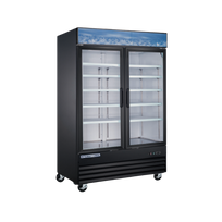 International Refrigerador vertical 2 puertas de vidrio INT/RV-2PV-AI Nuevo