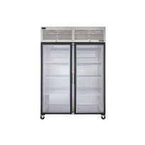 Imbera Congelador Vertical 2 Puertas de Acero EVZ45-F2 Seminuevo