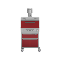Pujadas Horno de brasa premium 50 P850501R Nuevo