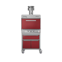 Pujadas Horno de brasa premium 90 P850901R Nuevo