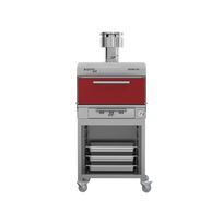 Pujadas Horno de brasa functional 50 P850503R Nuevo
