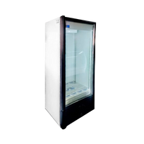 Masser Refrigerador Vertical 1 Puerta de Cristal 21 Pies VBL450 Seminuevo