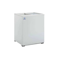 Criotec/Gelum Congelador Horizontal Paletero 115V CCH-05 Seminuevo