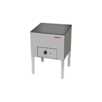 Coriat Estufon electrico 2 resistencias termostato Ajustable de 100 a 300°C EC-1-E MASTER Nuevo