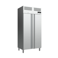 Infrico Armario de refrigeración 2 puertas sólidas GN 1/1 SLIM LINE 600L Series AGN602 Nuevo