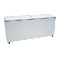 Imbera Congelador horizontal 2 tapas cofre 25 pies HF25 Nuevo
